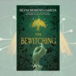 the bewitching book cover