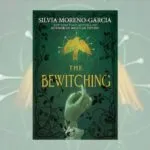 the bewitching book cover