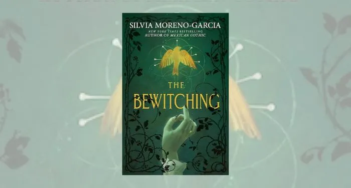 the bewitching book cover