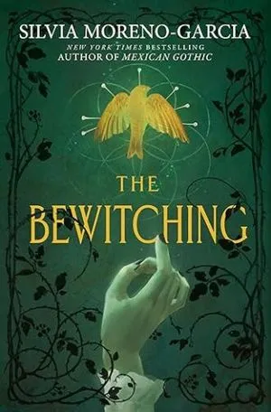 the bewitching book cover