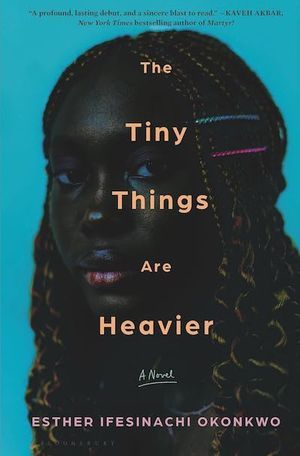 the tiny things are heavier book cover