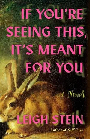 cover of If You're Seeing This, It's Meant for You by Leigh Stein