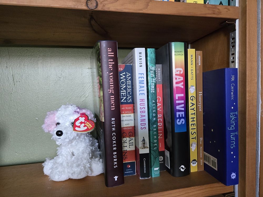 Author photo of a portion of a bookshelf with nine books held up by a Beanie Baby dog