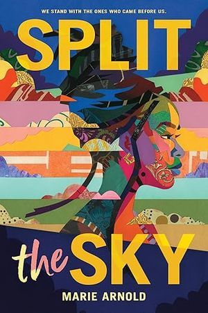 split the sky book cover