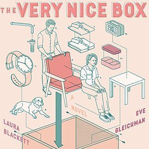 The Very Nice Box audiobook cover