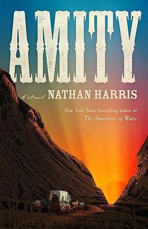 Amity book cover