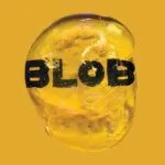 partial cover of Blob by Maggie Su