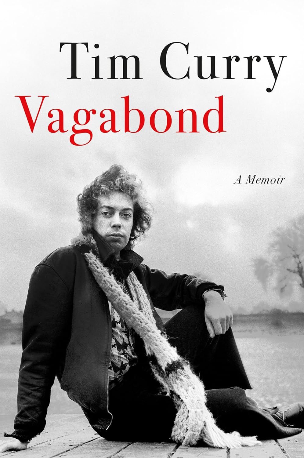 cover of Vagabond: A Memoir by Tim Curry