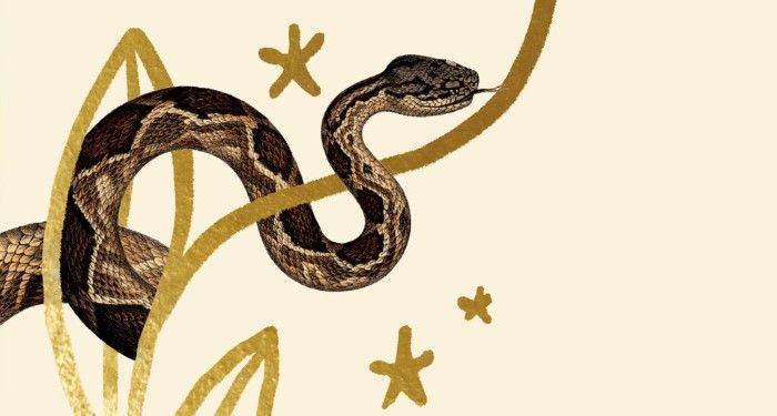 The Great OUTdoors: Nonfiction about the Queerness of Nature