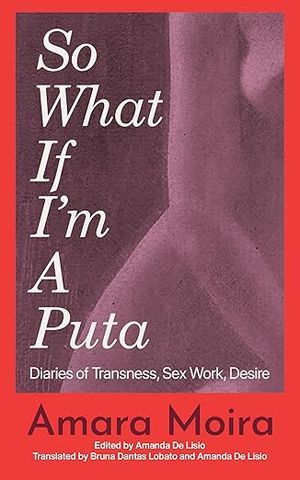 So What If I’m a Puta cover
