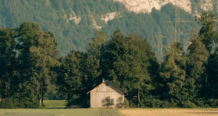 A Legacy Of Darkness And The Women Haunted By It