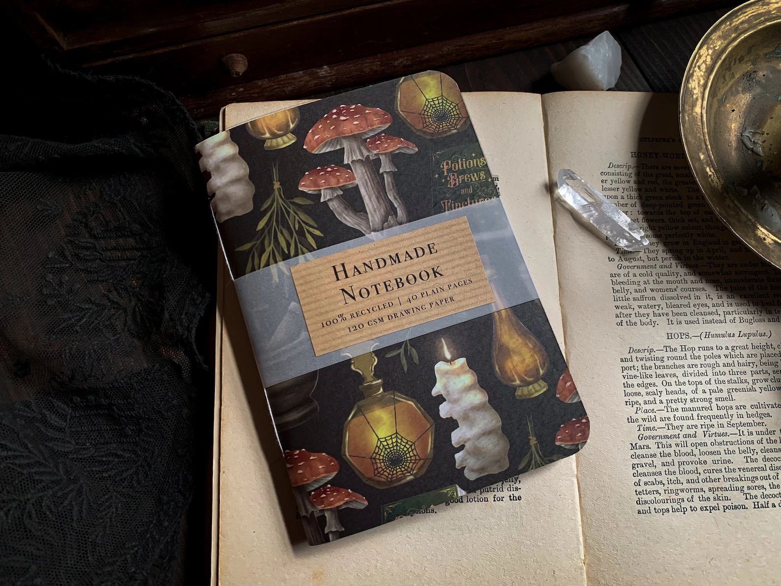 Witchy Apothecary Notebook