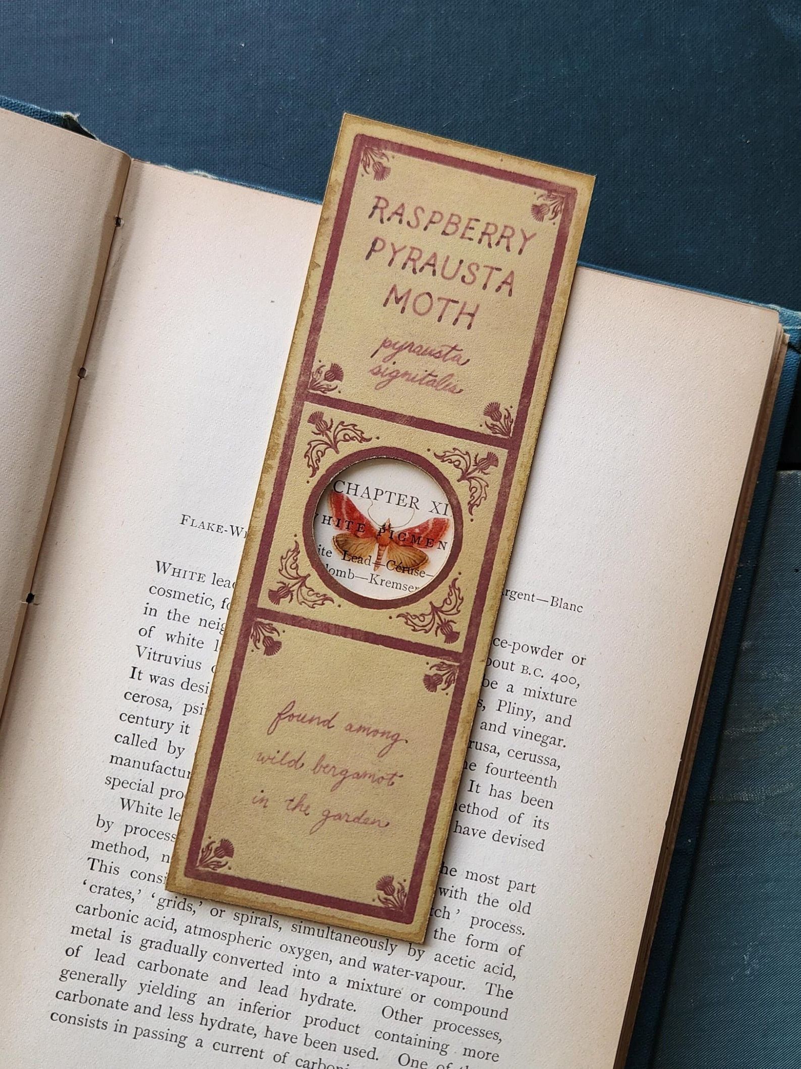 Handmade Victorian microscope raspberry pyrausta moth slide bookmark