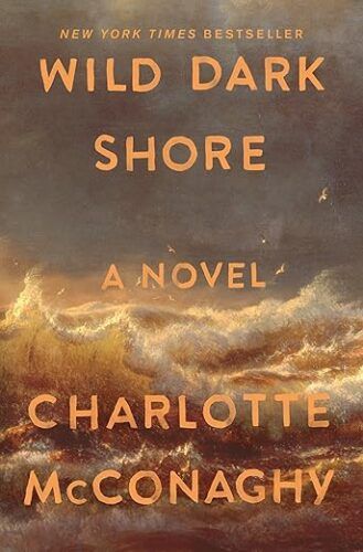 cover of Wild Dark Shore by Charlotte McConaghy