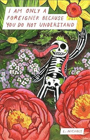 cover of i am only a foreigner because you do not understand