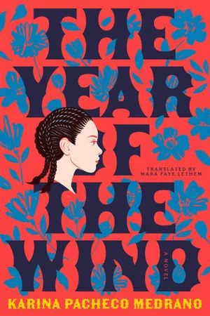 The Year of the Wind book cover