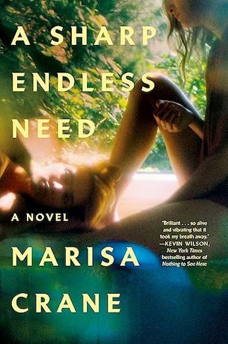 a graphic of the cover of a sharp endless need