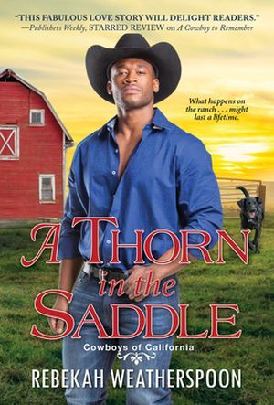 A Thorn in the Saddle by Rebekah Weatherspoon Book Cover