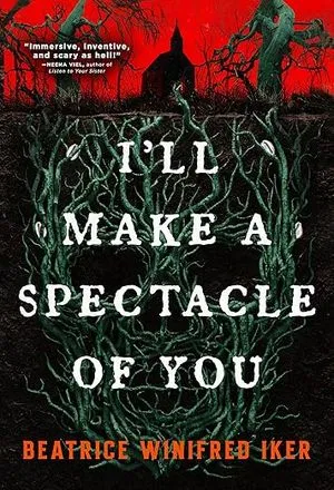 i'll make a spectacle of you book cover