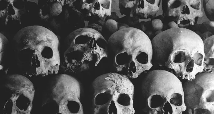 The Best Horror Books From Around the World