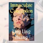 immaculate conception book cover