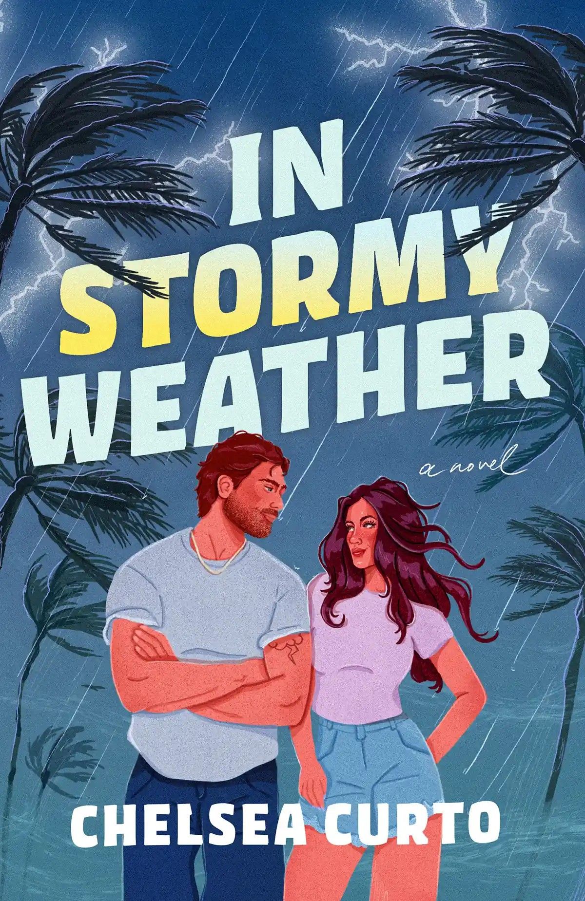 in stormy weather book cover