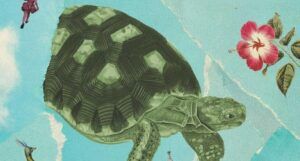 partial cover The Tortoise's Tale by Kendra Coulter