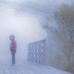 cover of Blue Monday by Nicci French