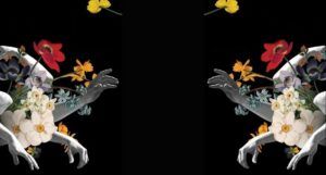 partial cover of The Seep