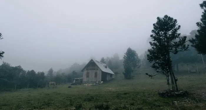 This Appalachian Mystery Has a Twist You Won’t See Coming