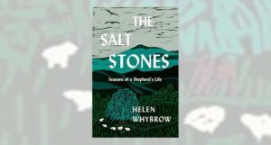 the salt stones book cover