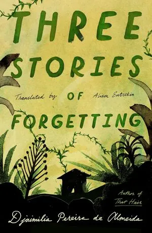 Three Stories of Forgetting book cover