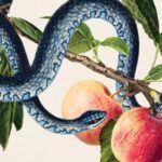 Wayward partial cover