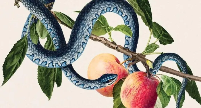 8 Memoirs Exploring the Damage of Purity Culture